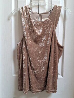 PORRIDGE Anthropologie Champagne Crushed Velvet Sleeveless Top sz M